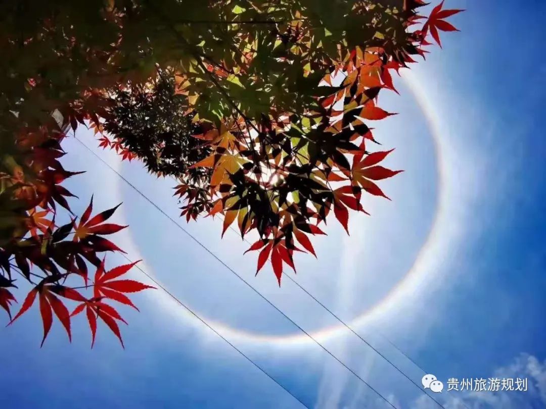 2021年暑假7-8月贵州旅游/攻略+建议，实用干货（附带详细行程）