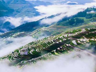 私家定制团 / 贵州7天6晚纯玩旅游（贵阳--荔波小七孔--加车苗寨--加榜梯田日出日落--岜沙苗寨--肇兴侗寨---镇远古镇---梵净山）