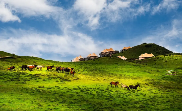 贵州私藏了一个“中国凉都”，夏天只有19℃，目光所及之处皆是绿~